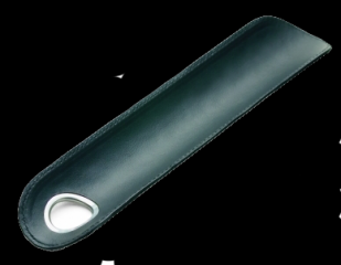 «Shaleni tatusiі»- unique program