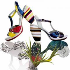 Business to you. ExpoShoes.com